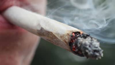 ડ્રગ્સ વિરુદ્ધ મુંબઈ NCB એ કરી ફરી મોટી કાર્યવાહી, મહારાષ્ટ્રના નાંદેડમાં પકડાયો 1.1 ટન ગાંજો, જલગાંવમાં પણ 1500 કિલો ગાંજો જપ્ત