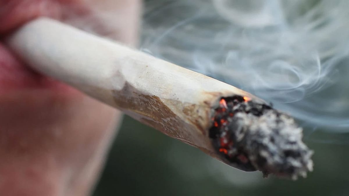 ડ્રગ્સ વિરુદ્ધ મુંબઈ NCB એ કરી ફરી મોટી કાર્યવાહી, મહારાષ્ટ્રના નાંદેડમાં પકડાયો 1.1 ટન ગાંજો, જલગાંવમાં પણ 1500 કિલો ગાંજો જપ્ત