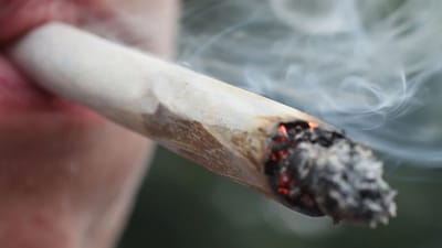 ડ્રગ્સ વિરુદ્ધ મુંબઈ NCB એ કરી ફરી મોટી કાર્યવાહી, મહારાષ્ટ્રના નાંદેડમાં પકડાયો 1.1 ટન ગાંજો, જલગાંવમાં પણ 1500 કિલો ગાંજો જપ્ત