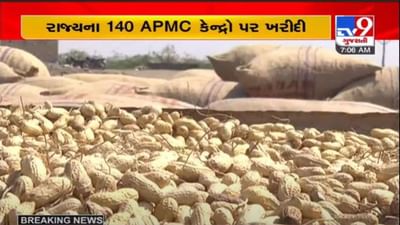 ખેડૂતોની લાભ પાંચમ : રાજ્યમાં આજથી ટેકાના ભાવે મગફળીની ખરીદી શરૂ, 140 APMC કેન્દ્રો પર તૈયારીઓ પૂર્ણ ખેડૂતોની લાભ પાંચમ : રાજ્યમાં આજથી ટેકાના ભાવે મગફળીની ખરીદી શરૂ, 140 APMC કેન્દ્રો પર તૈયારીઓ પૂર્ણ