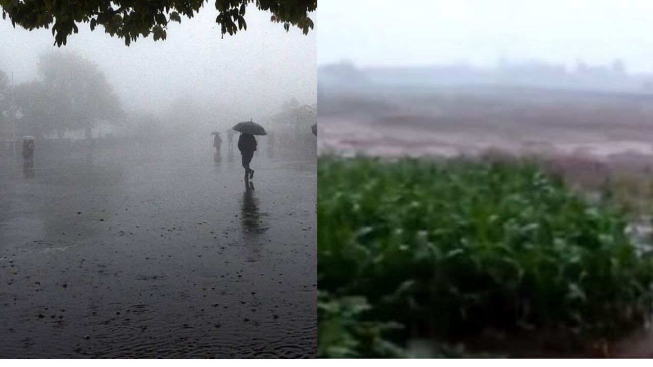 ગુજરાતમાં કમોસમી વરસાદથી અનેક જિલ્લામાં રસ્તાઓ પર પાણી ભરાયા, ખેડૂતોની હાલત કફોડી બની