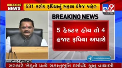 ખેડૂતો માટે સારા સમાચાર : ગુજરાત સરકારે 9 જિલ્લાના ખેડૂતો માટે 531 કરોડના રાહત પેકેજની જાહેરાત કરી