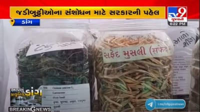 DANG : જડીબુટ્ટીઓના સંશોધન માટે ગુજરાત સરકારે 31 કરોડ રૂપિયા ફાળવ્યા