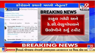 ગુજરાત કોંગ્રેસમાં નવા પ્રમુખને લઈને ભારેલા અગ્નિ જેવી સ્થિતિ, નેતાઓ જ કરવા લાગ્યા આક્રમક નેતૃત્વની માંગ