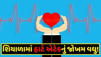 Health Tips: શિયાળામાં કેમ વધી જાય છે હાર્ટ એટેકનું જોખમ? આ ઋતુમાં હૃદય સમસ્યાથી બચવાના શું છે ઉપાય?
