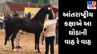 પુષ્કરના આંતરરાષ્ટ્રીય અશ્વ મેળામાં જામનગરનો કેસરિયો છવાયો, જાણો આ કરોડોના ઘોડા વિશે રસપ્રદ વાતો