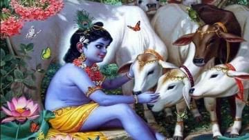 Bhakti: ગોપાષ્ટમીએ આ ખાસ વિધિથી કરો ગૌમાતાની પૂજા, પ્રાપ્ત થશે ભગવાન શ્રીકૃષ્ણની કૃપા !