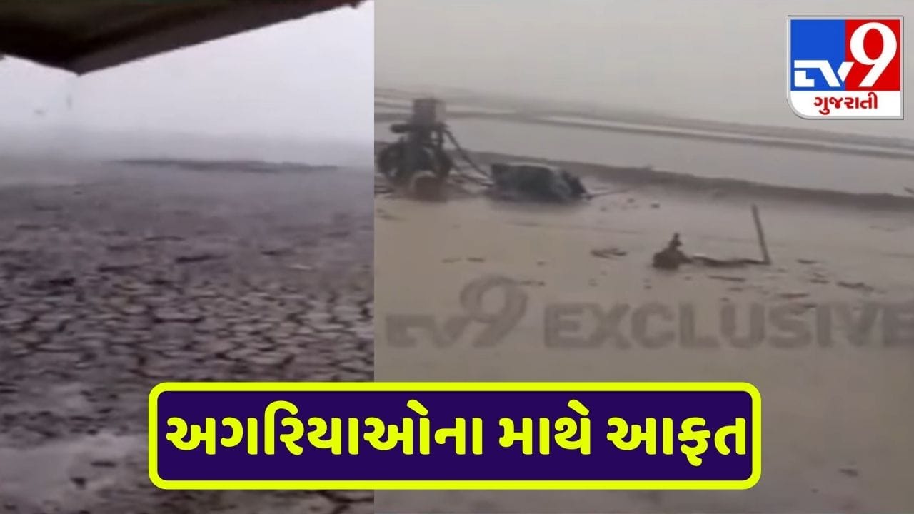 Surendranagar: માવઠાથી કચ્છના નાના રણમાં સ્થિતિ કફોડી, હજારો અગરિયા ફસાયા હોવાની આશંકા