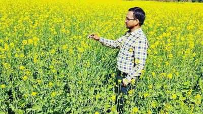 Mustard Farming: ખેડૂતો રાયડાની ખેતી માટે અપનાવો આ 5 સરળ ટિપ્સ, મળશે જોરદાર ઉત્પાદન
