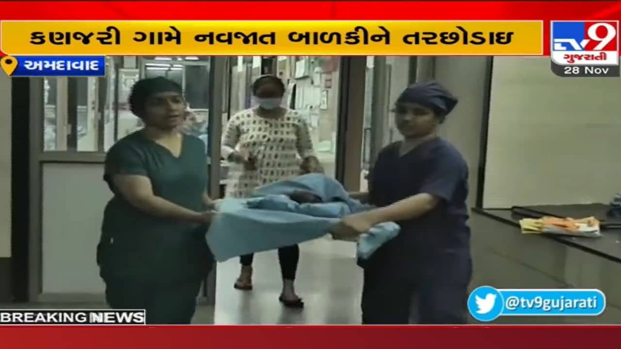 હૃદય કંપાવી દે એવો કિસ્સો: કડીમાં કોઈ નવજાત બાળકીને કોથળીમાં બંધ કરી, ખેતરમાં મુકીને જતું રહ્યું