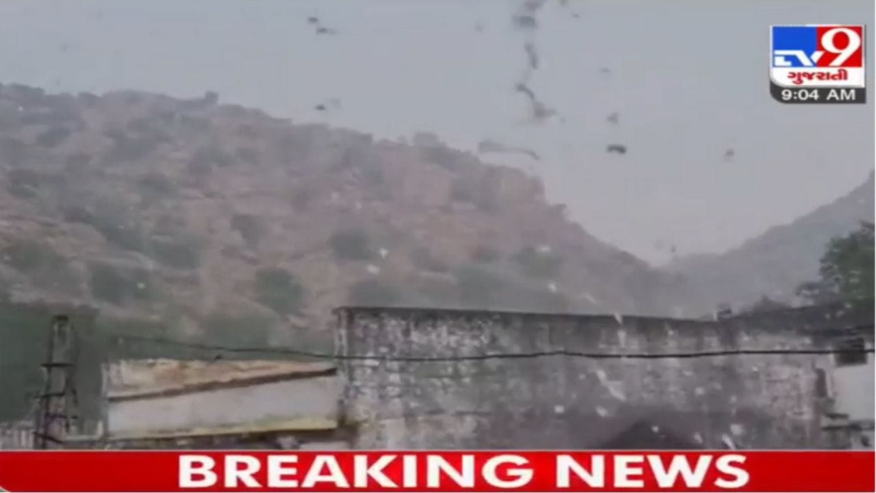 Sabarkantha: ઇડરમાં કમોસમી વરસાદ ખાબક્યો, રવિ પાકને લઈને ખેડૂતોની ચિંતા વધી Sabarkantha: ઇડરમાં કમોસમી વરસાદ ખાબક્યો, રવિ પાકને લઈને ખેડૂતોની ચિંતા વધી