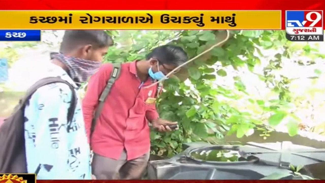 Kutch: જિલ્લામાં પણ મચ્છરજન્ય રોગચાળાએ માથું ઉચક્યું, ડેન્ગ્યુ, મેલેરિયા અને ચીકનગુનિયાનો રાફડો ફાટ્યો