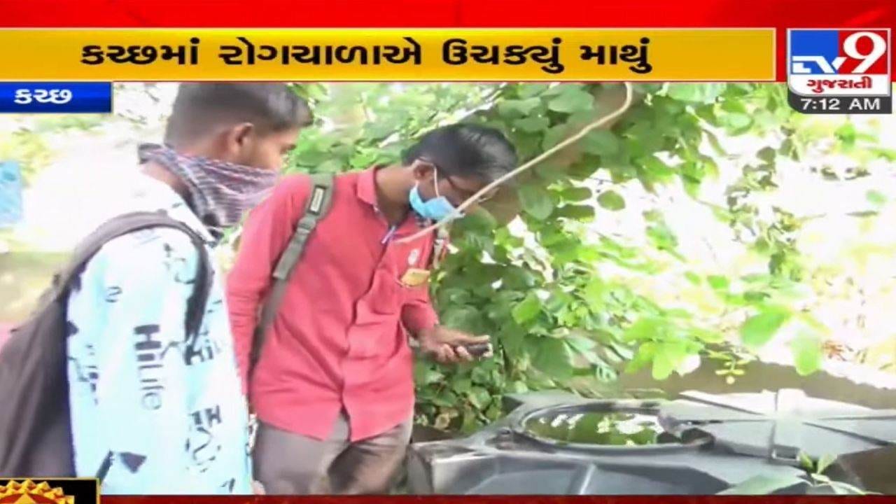 Kutch: જિલ્લામાં પણ મચ્છરજન્ય રોગચાળાએ માથું ઉચક્યું, ડેન્ગ્યુ, મેલેરિયા અને ચીકનગુનિયાનો રાફડો ફાટ્યો Kutch: જિલ્લામાં પણ મચ્છરજન્ય રોગચાળાએ માથું ઉચક્યું, ડેન્ગ્યુ, મેલેરિયા અને ચીકનગુનિયાનો રાફડો ફાટ્યો