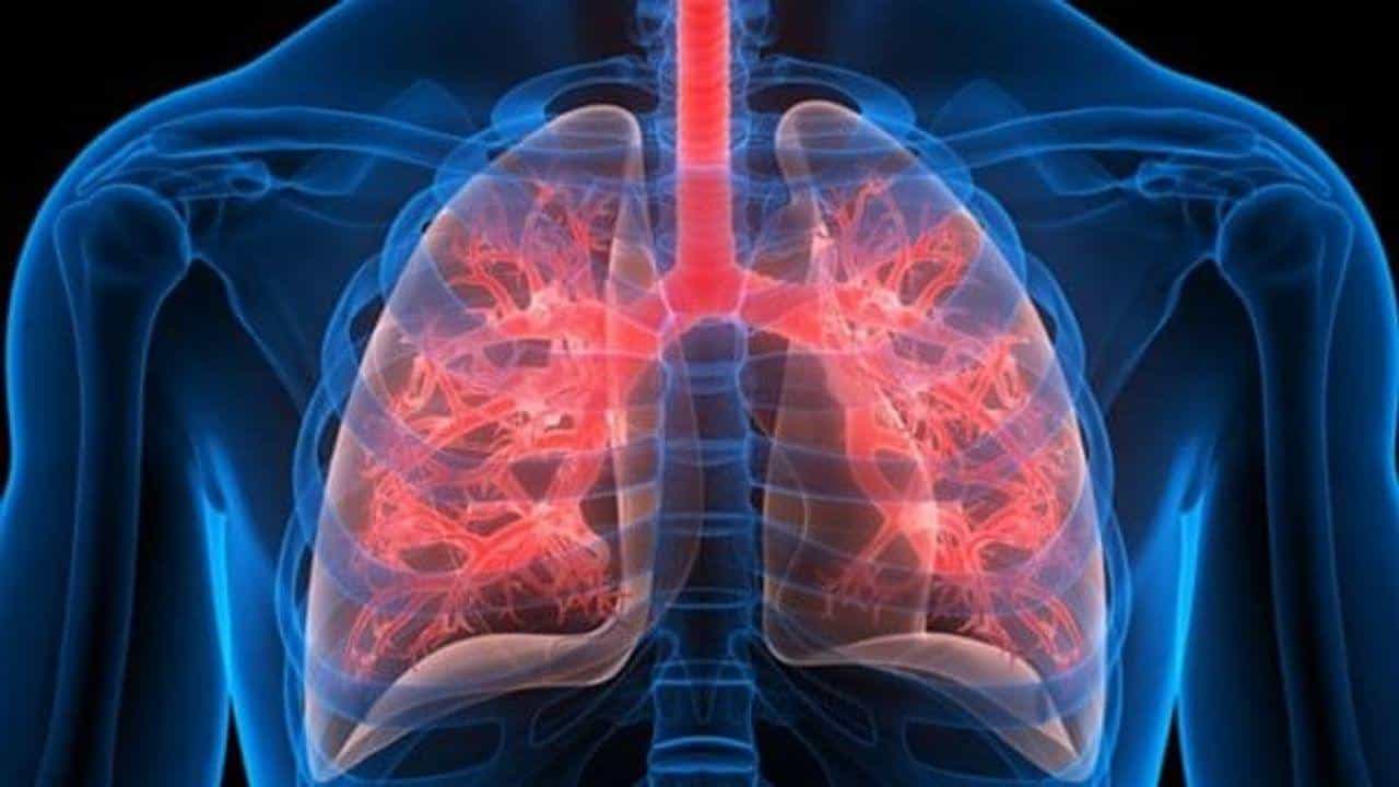 કેટલાક ખાસ ઉપાય અજમાવવાથી ફેફસાને પ્રદૂષણથી બચાવી શકાય, જાણો શું છે આ ખાસ ઉપાય