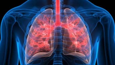 કેટલાક ખાસ ઉપાય અજમાવવાથી ફેફસાને પ્રદૂષણથી બચાવી શકાય, જાણો શું છે આ ખાસ ઉપાય