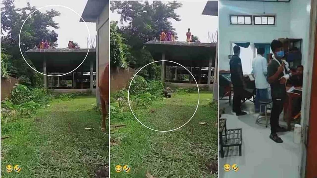 Video : સ્ટંટના ચક્કરમાં છોકરાએ છત પરથી લગાવી છલાંગ ! પછી જે થયુ તે જોઈને યુઝર્સના હોંશ ઉડી ગયા