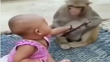 મોબાઇલ ફોનને લઇને નાની બાળકી અને વાંદરા વચ્ચે થઇ બબાલ, તમે પણ જુઓ આ Viral Video