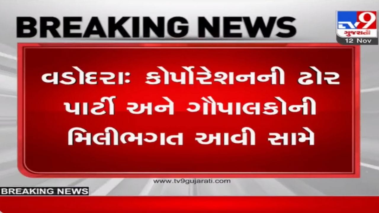 Vadodara: રખડતા ઢોર મામલે કોર્પોરેશનની ઢોર પાર્ટીની મિલીભગતનો વિડીયો વાયરલ, તંત્ર આવ્યું હરકતમાં Vadodara: રખડતા ઢોર મામલે કોર્પોરેશનની ઢોર પાર્ટીની મિલીભગતનો વિડીયો વાયરલ, તંત્ર આવ્યું હરકતમાં