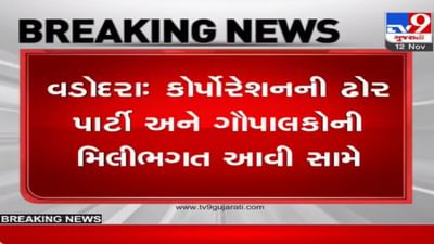 Vadodara: રખડતા ઢોર મામલે કોર્પોરેશનની ઢોર પાર્ટીની મિલીભગતનો વિડીયો વાયરલ, તંત્ર આવ્યું હરકતમાં