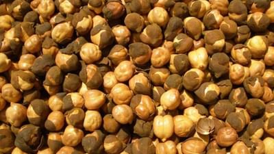 Health Tips: સારા સ્વાથ્ય માટે દરરોજ ખાઓ એક મુઠ્ઠી ચણા, જાણો ચણા ખાવાના પાંચ મુખ્ય ફાયદા