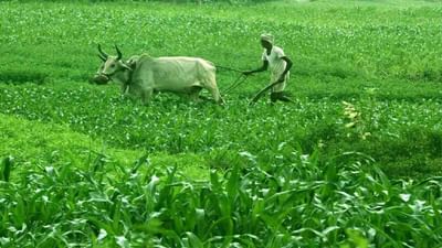 PMFBY: વર્ષ 2020-21માં પાક વીમા માટે 9,570 કરોડ રૂપિયાના દાવા, ગત વર્ષની સરખામણીએ 60 ટકા ઓછા