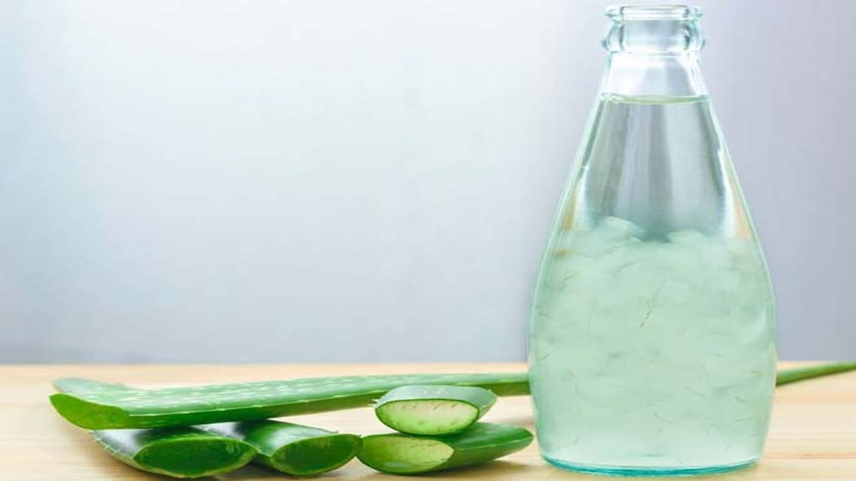 Hair Care : વાળની સમસ્યા દુર કરવા એલોવેરાની મદદથી ઘરે જ બનાવો હોમમેઇડ ઓર્ગેનિક શેમ્પુ