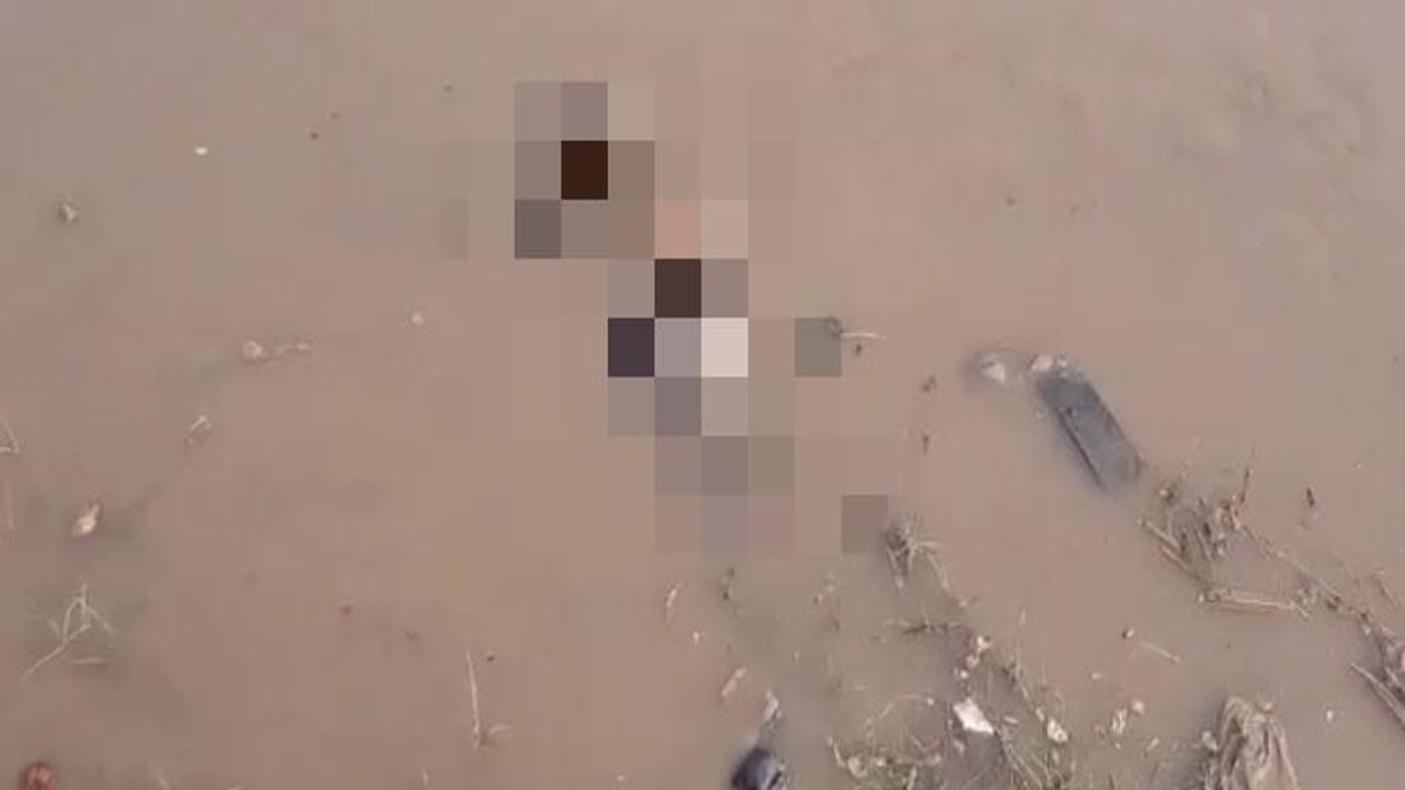 18 દિવસની બાળકીને માતાએ નદીમાં ફેંકી હત્યા કરી, પોલીસ અને પતિ સમક્ષ અપહરણનું નાટક રચ્યું