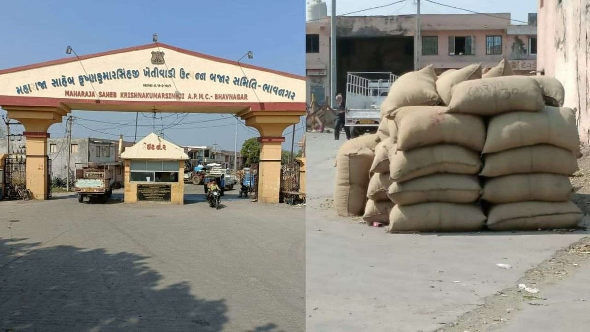 ભાવનગરમાં મગફળીનું મબલખ ઉત્પાદન, યાર્ડમાં હાલ મગફળી લાવવા પર પ્રતિબંધ મુકાયો