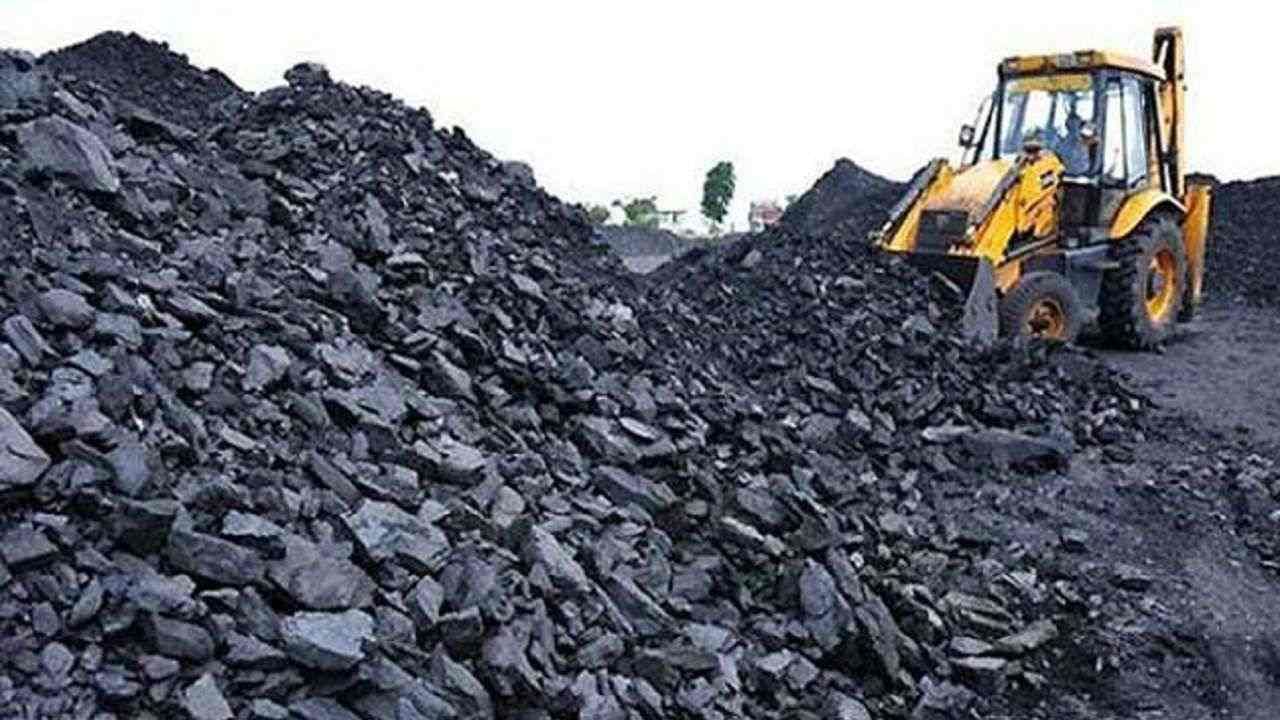 Surat : વિન્ટર સીઝનમાં યુરોપિયન દેશોમાં કોલસાની માગમાં વધારો, ભાવમાં 7 થી 8 ટકાનો વધારો થતા પ્રોસેસર્સની હાલત કફોડી