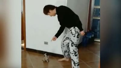 Viral Video: કુતરાના બચ્ચાએ માલિકની નકલ કરી, વિડીયો થઇ રહ્યો છે સોશિયલ મીડિયામાં વાયરલ