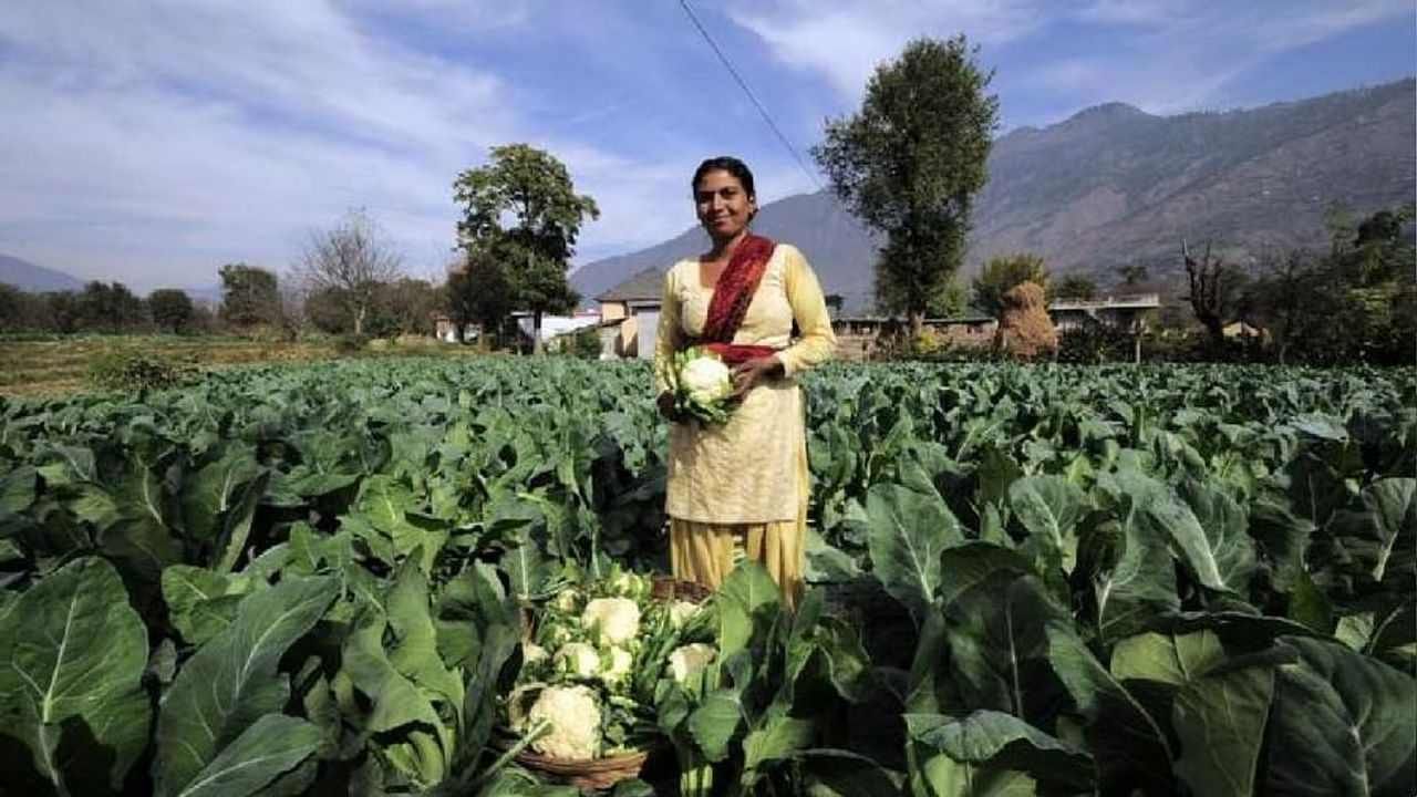 Success Story: આ મહિલા ખેડૂત પરંપરાગત ખેતીને બદલે આ રીત અપનાવી વિદેશ સુધી મોકલે છે પ્રોડક્ટ