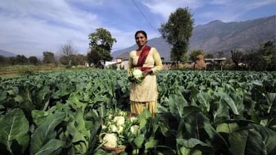 Success Story: આ મહિલા ખેડૂત પરંપરાગત ખેતીને બદલે આ રીત અપનાવી વિદેશ સુધી મોકલે છે પ્રોડક્ટ