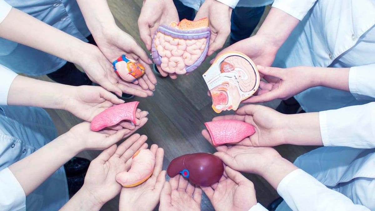 'રાષ્ટ્રીય અંગદાન દિવસ', ઓર્ગન ડોનેશન શા માટે છે જરૂરી ? રાષ્ટ્રીય અંગદાન દિવસ પર જાણો તેનું મહત્વ