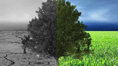 કોરોના, આતંકવાદના કારણે જેટલા મૃત્યુ નથી પામતા એટલા લોકો દર વર્ષે સમગ્ર વિશ્વમાં પ્રદુષણના કારણે મૃત્યુ પામે છે: રિપોર્ટ