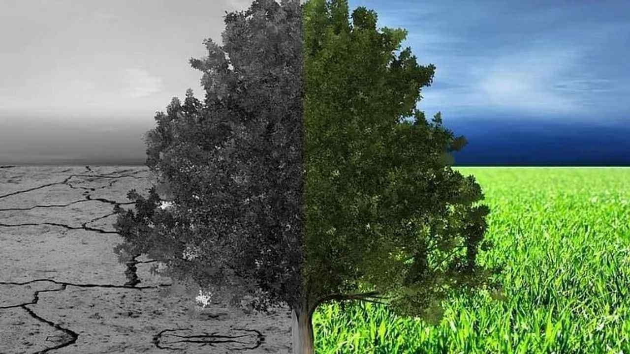 કોરોના, આતંકવાદના કારણે જેટલા મૃત્યુ નથી પામતા એટલા લોકો દર વર્ષે સમગ્ર વિશ્વમાં પ્રદુષણના કારણે મૃત્યુ પામે છે: રિપોર્ટ