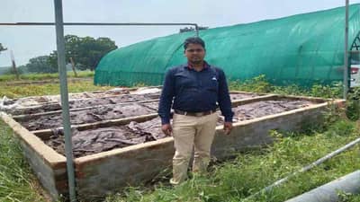 Success Story: યુવા ખેડૂતે ખેતીમાં અજમાવ્યું નસીબ, ખેતી અને પશુપાલનથી કરે છે લાખોની કમાણી