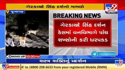 જૂનાગઢમાં ગેરકાયદે સિંહ દર્શન કરાવનારા પાંચ લોકોની વન વિભાગે ધરપકડ કરી