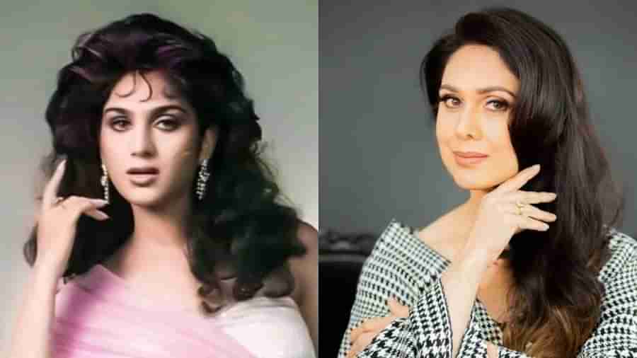 Meenakshi Seshadri Birthday :  બોલીવૂડની દામિની હવે કરે છે આ કામ, 17 વર્ષની ઉંમરે જીતી હતી મિસ ઇન્ડિયા કોન્ટેસ્ટ