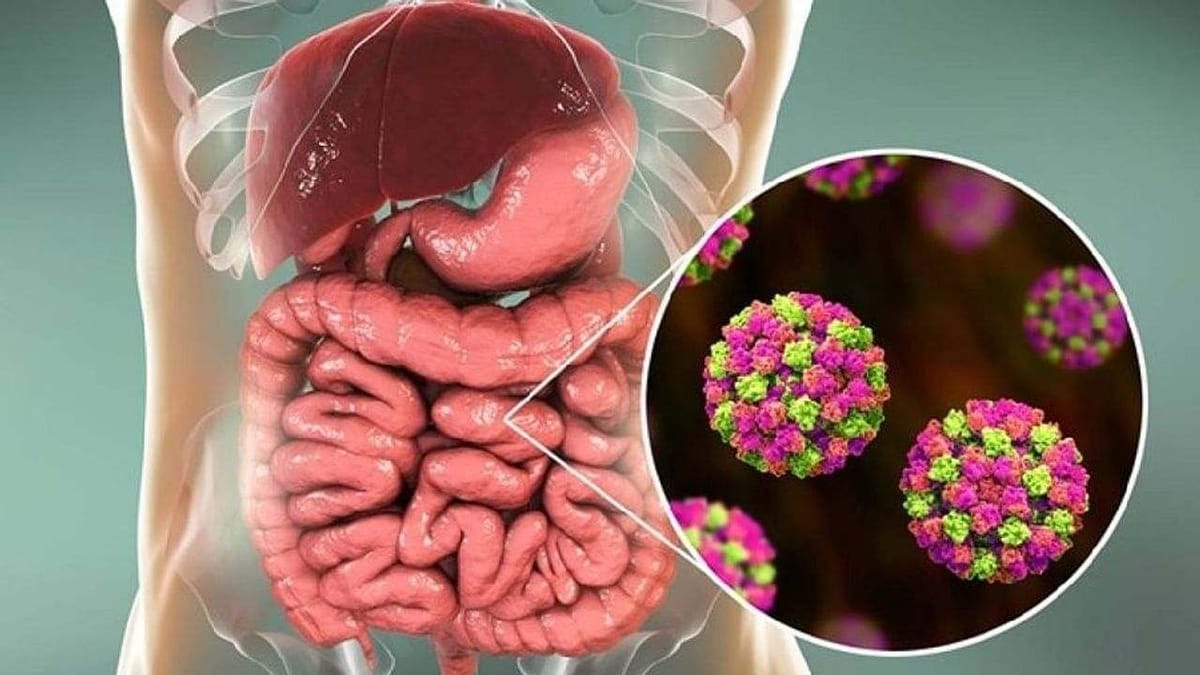 કોરોના વાયરસ બાદ નોરો વાયરસનો ખતરો ! જાણો આ નવા વાયરસના લક્ષણો અને તેને અટકાવવાના ઉપાયો