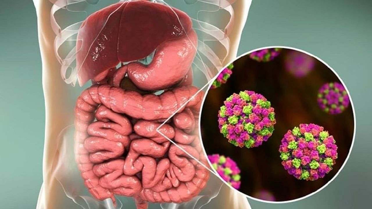 કોરોના વાયરસ બાદ નોરો વાયરસનો ખતરો ! જાણો આ નવા વાયરસના લક્ષણો અને તેને અટકાવવાના ઉપાયો