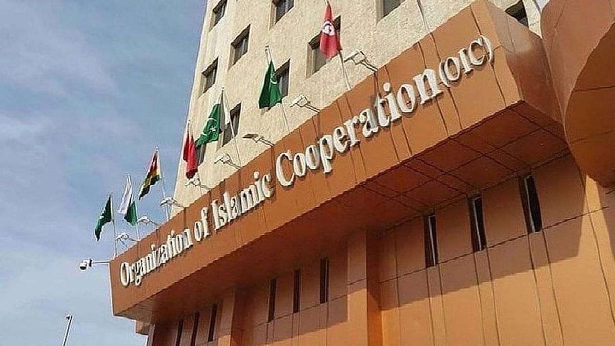 Pakistan : ભારતના વિરોધ છતાં OICનું પ્રતિનિધિમંડળ LOC પહોંચ્યું, શું મુસ્લિમ દેશોનું સંગઠન ભારત વિરુધ્ધ ઝેર ઘોળી રહ્યુ છે ?