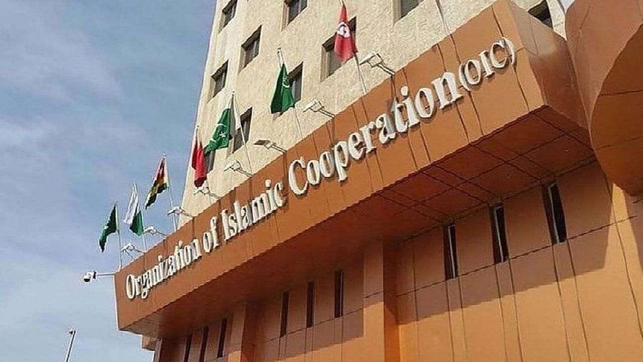 Pakistan : ભારતના વિરોધ છતાં OICનું પ્રતિનિધિમંડળ LOC પહોંચ્યું, શું મુસ્લિમ દેશોનું સંગઠન ભારત વિરુધ્ધ ઝેર ઘોળી રહ્યુ છે ?