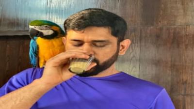 Mahendra Singh Dhoniને મળ્યો નવો પાર્ટનર, પત્ની સાક્ષીએ ફોટો શેર કરીને ખુલાસો કર્યો