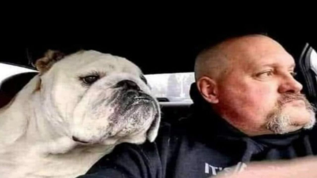 Viral : બિઝનેસમેન ગોએન્કાની વધુ એક પોસ્ટ થઈ વાયરલ, જોઈને તમે પણ હસીને લોટ પોટ થઈ જશો