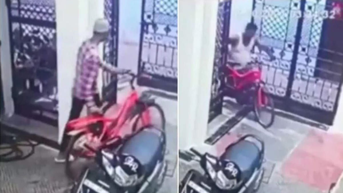 આ ચોરને ધોળા દિવસે ચોરી કરવી પડી ભારે ! ચોરી પકડાઈ જતા જોયા જેવી થઈ, જુઓ Video