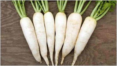 મૂળા - શિયાળા દરમિયાન ઉત્તર ભારતના સ્થાનિક બજારોમાં મૂળા સરળતાથી ઉપલબ્ધ રહે છે. તમે તેનો ઉપયોગ રાયતા, કઢી અને ફ્રાઈસ બનાવવા માટે કરી શકો છો. મેગ્નેશિયમ, કેલ્શિયમ અને કોપરથી ભરપૂર આ શાકભાજી લોકોને પાચન સંબંધી સમસ્યાઓથી બચાવવા માટે જાણીતી છે.