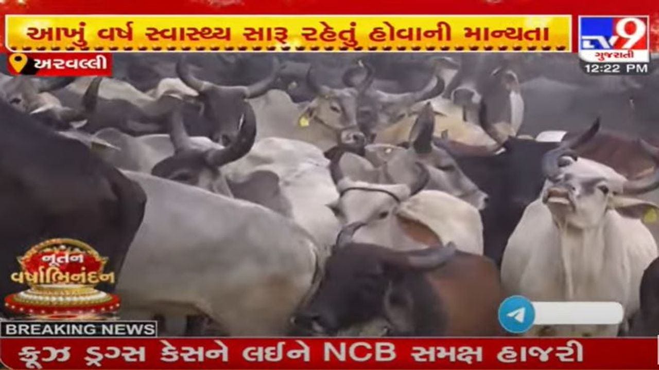 અરવલ્લી જિલ્લામાં નવા વર્ષની અનોખી પરંપરા, જુઓ આ વીડિયો અરવલ્લી જિલ્લામાં નવા વર્ષની અનોખી પરંપરા, જુઓ આ વીડિયો