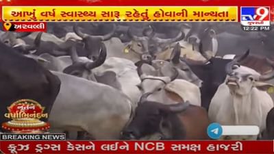 અરવલ્લી જિલ્લામાં નવા વર્ષની અનોખી પરંપરા, જુઓ આ વીડિયો