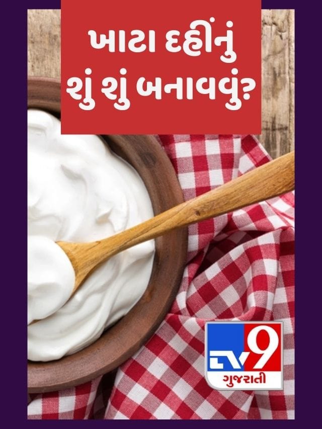 ખાટા દહીંથી કઈ કઈ વાનગી બની શકે?