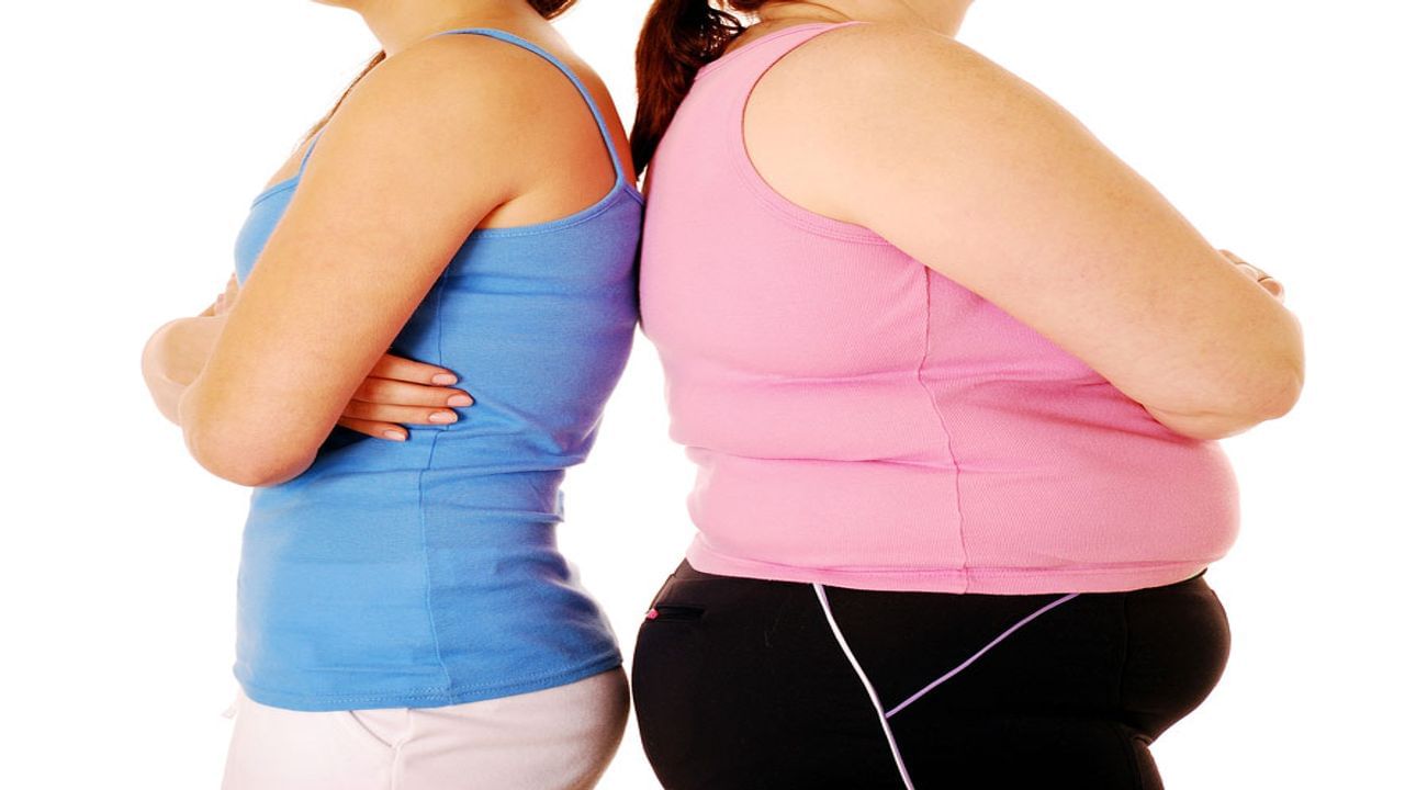 VADODARA : MS યુનિવર્સિટીના સંશોધકોને Obesity કન્ટ્રોલ કરવાની દવા શોધવામાં મળી સફળતા